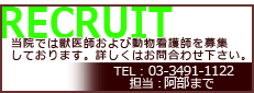 Rikuruite／リクルート情報