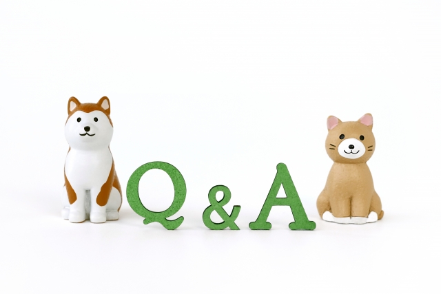 Q&Aと犬猫の置物