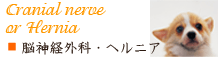 脳神経外科・椎間板ヘルニア